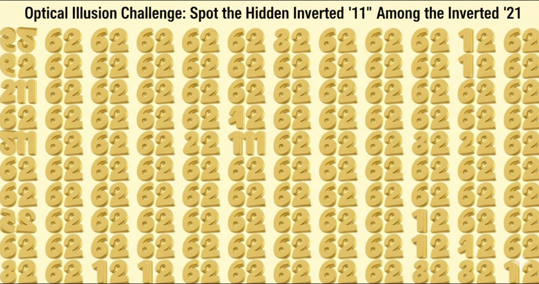 Optical Illusion Challenge