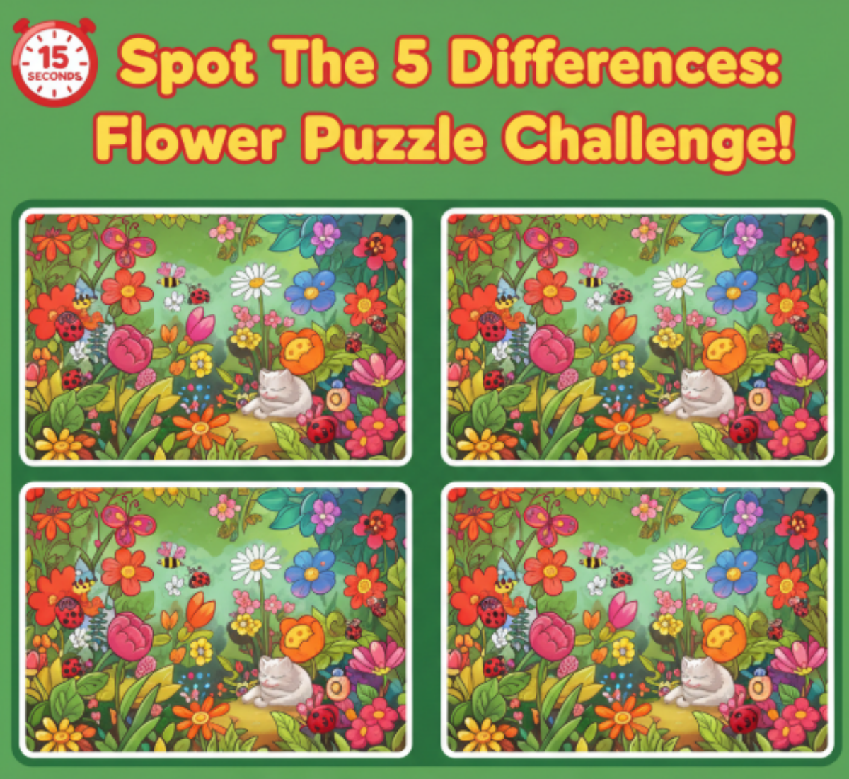 Spot the 5 Differences